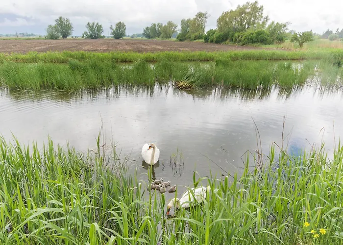 Апартаменты Dwupoziomowy 17d Гданьск