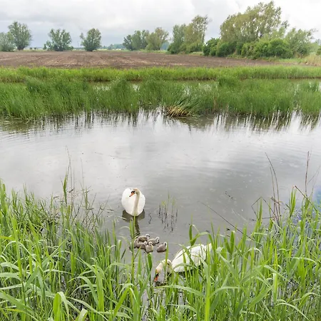 Apartment Dwupoziomowy 17d Danzig