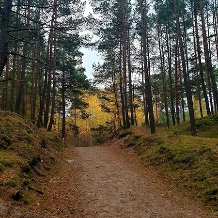 Dwupoziomowy 17d Danzig