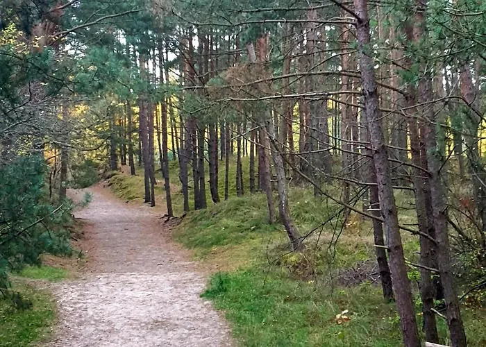 Dwupoziomowy 17d Apartamento