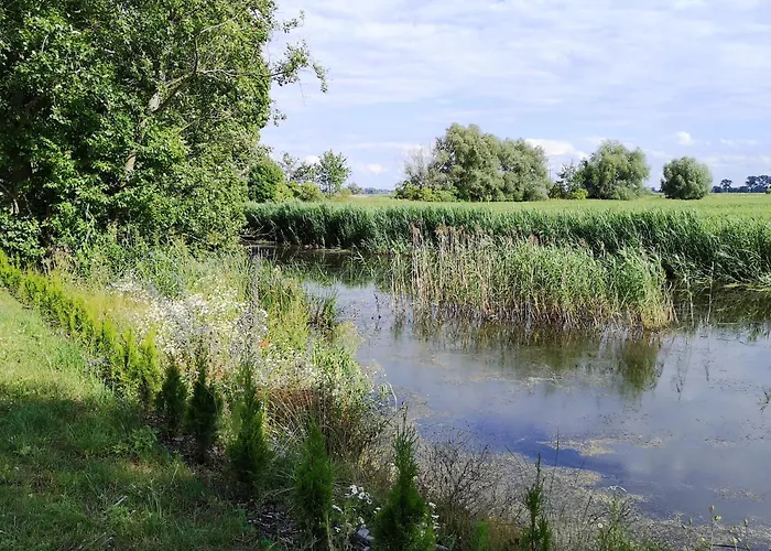 Apartament Dwupoziomowy 17d *