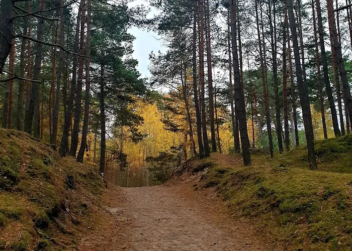 Dwupoziomowy 17d Gdańsk